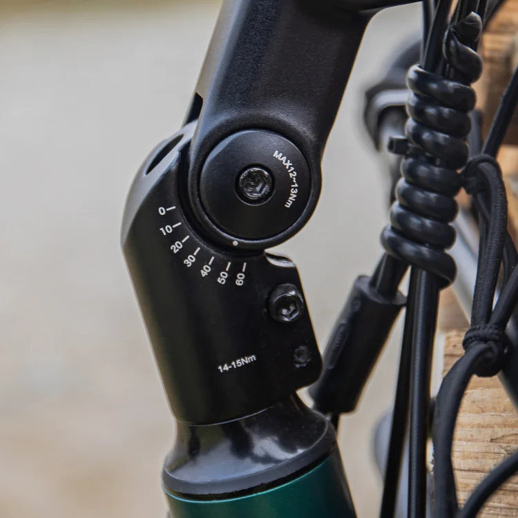 Fiido T2 Longtail Cargo E-bike image 13