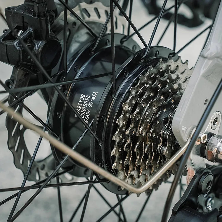 Fiido D11 250W Folding E-bike Removable Battery image 14