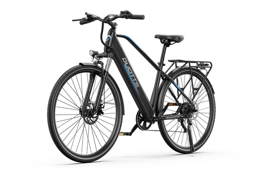DUOTTS C29 Lite Electric Bike