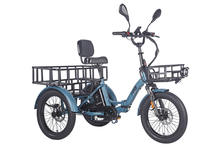 Fafrees F20 Mate HS Cargo E-Bike