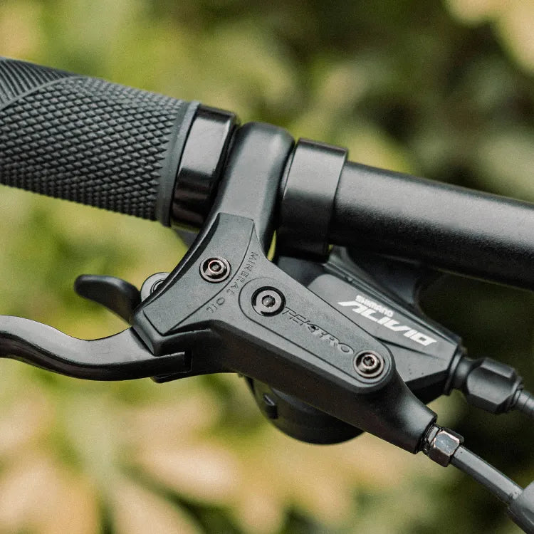 Fiido Nomads Touring E-bike