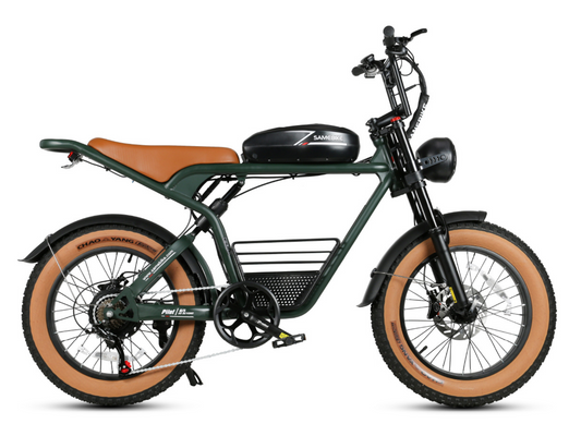 Samebike M20 1000W Retro Electric Bike