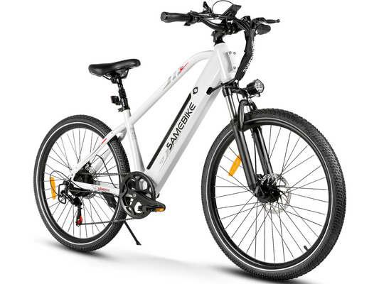 RS-A01 MEN Urban Electric Bicycle