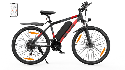 Varun M27-1 Mountain Electric Bike