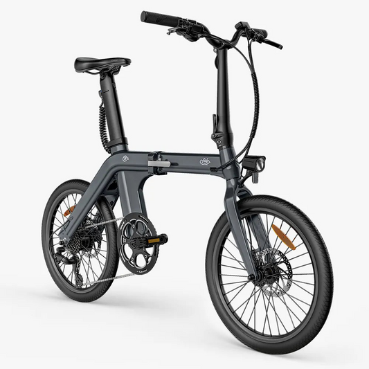 Fiido D11 250W Folding E-bike Removable Battery image 1