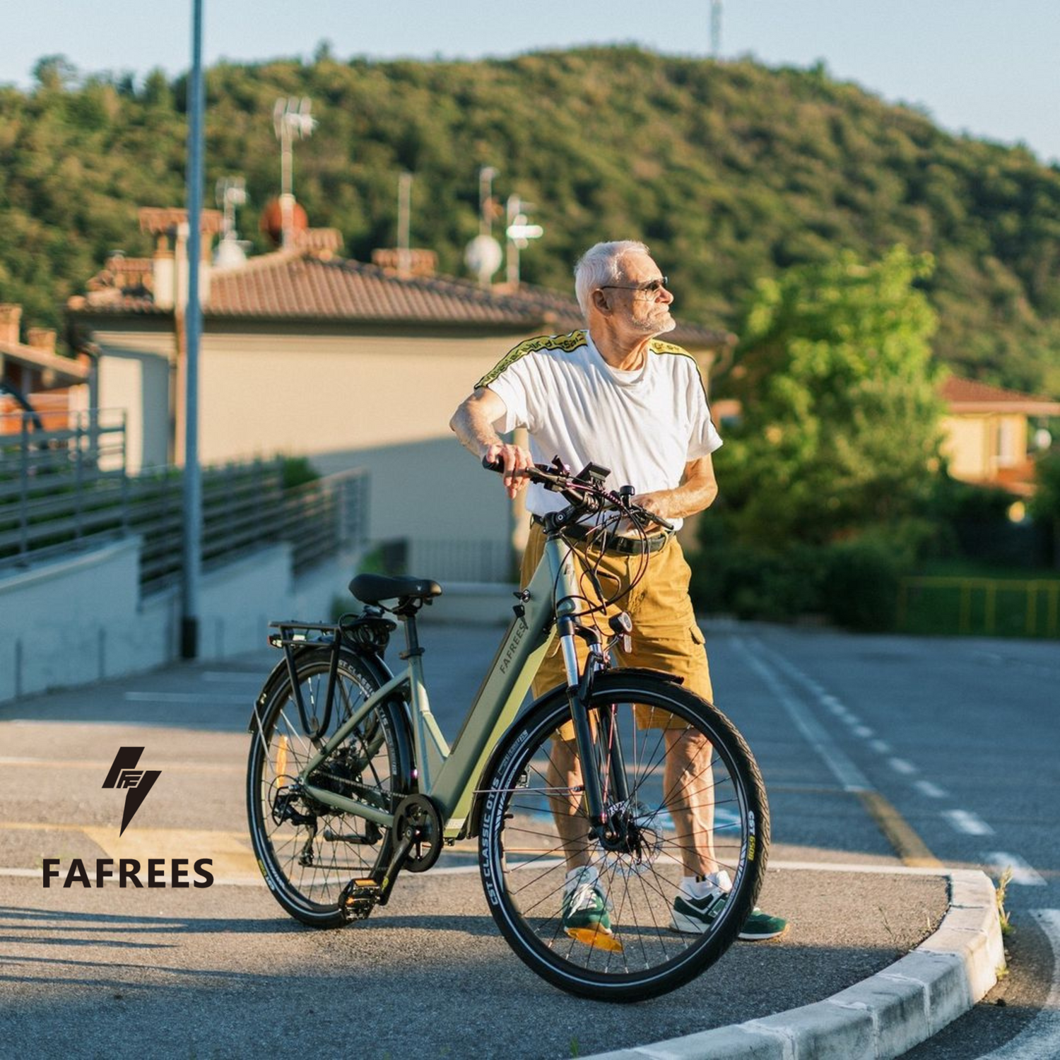 Fafrees Electric Bike