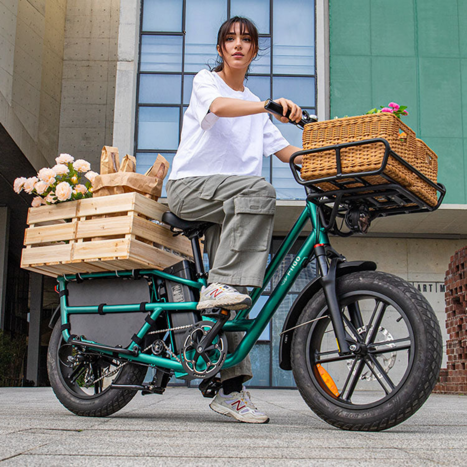 Electric Cargo Bikes