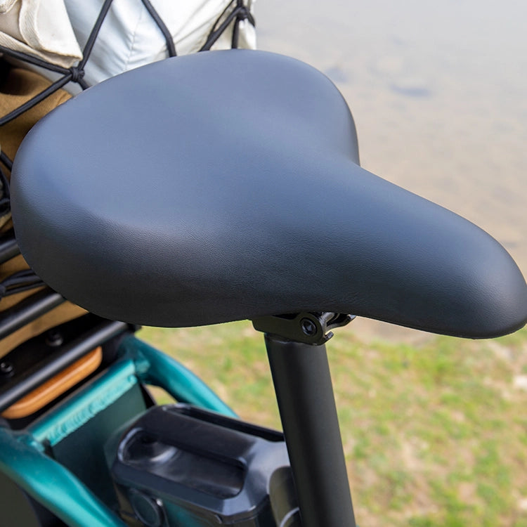 Fiido T2 Longtail Cargo E-bike image 7