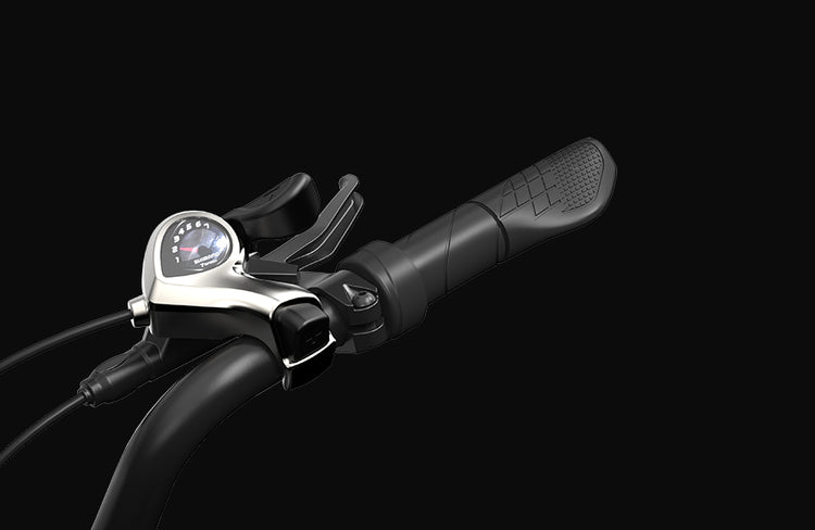 PVY LS20 20×4.0″ Step-Thru E-Bike image 12