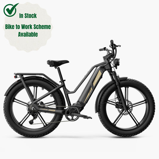 In Stock | Fiido Titan Electric Mountain Bike (Bike to Work Scheme Only)