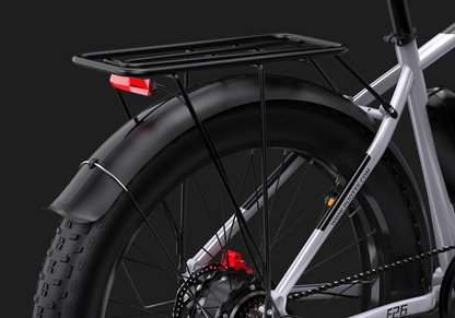 DUOTTS F26 Electric Bike image 12