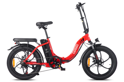 FAFREES F20 Folding Ebike image 0