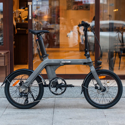 Fiido D11 250W Folding E-bike Removable Battery image 7