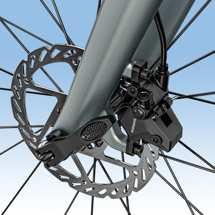 Fiido Air Carbon Fiber E-bike image 14