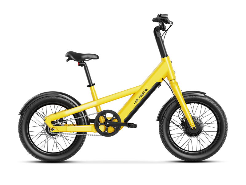 Heybike EC compact City image 2