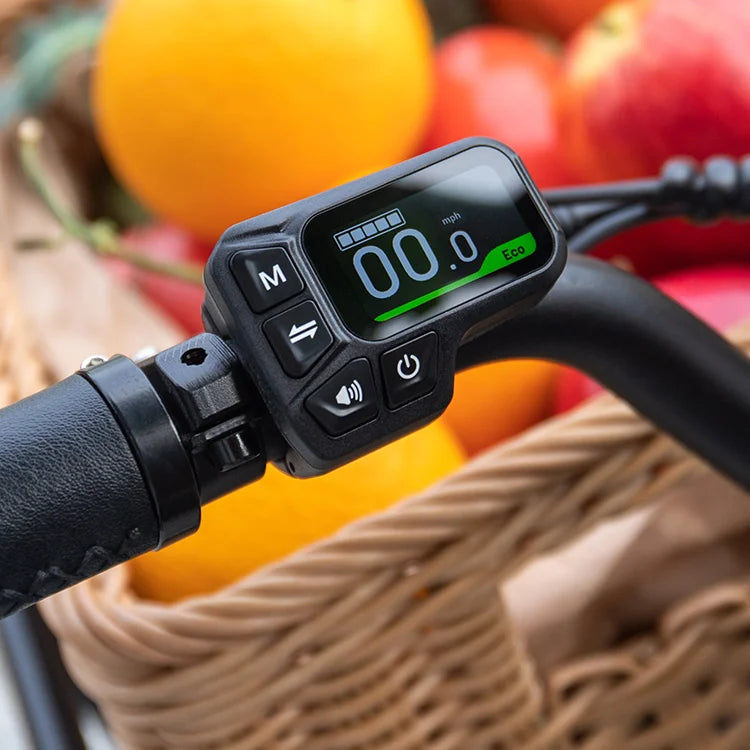 Fiido T2 Longtail Cargo E-bike image 10