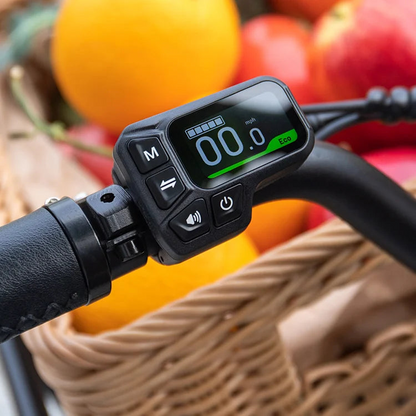 Fiido T2 Longtail Cargo E-bike image 10