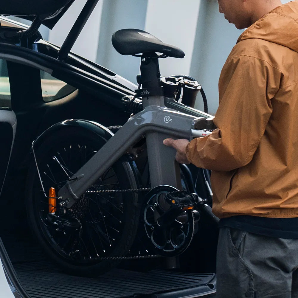 Fiido D11 250W Folding E-bike Removable Battery image 8