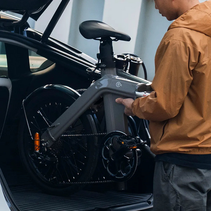 Fiido D11 250W Folding E-bike Removable Battery image 8