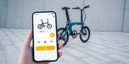 Fiido X Folding Electric Bike image 5