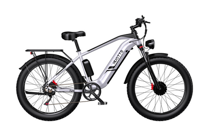 DUOTTS F26 Electric Bike image 0
