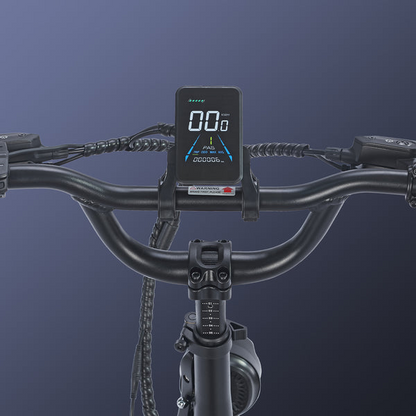 Fafrees F20 Mate Cargo E-Bike image 5