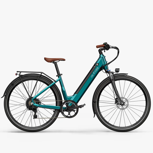 Fiido C11 Pro City E-bike image 0