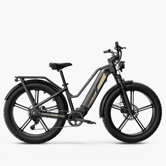 Fiido Titan Electric Mountain Bike image 0