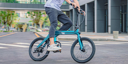 Fiido X Folding Electric Bike image 14