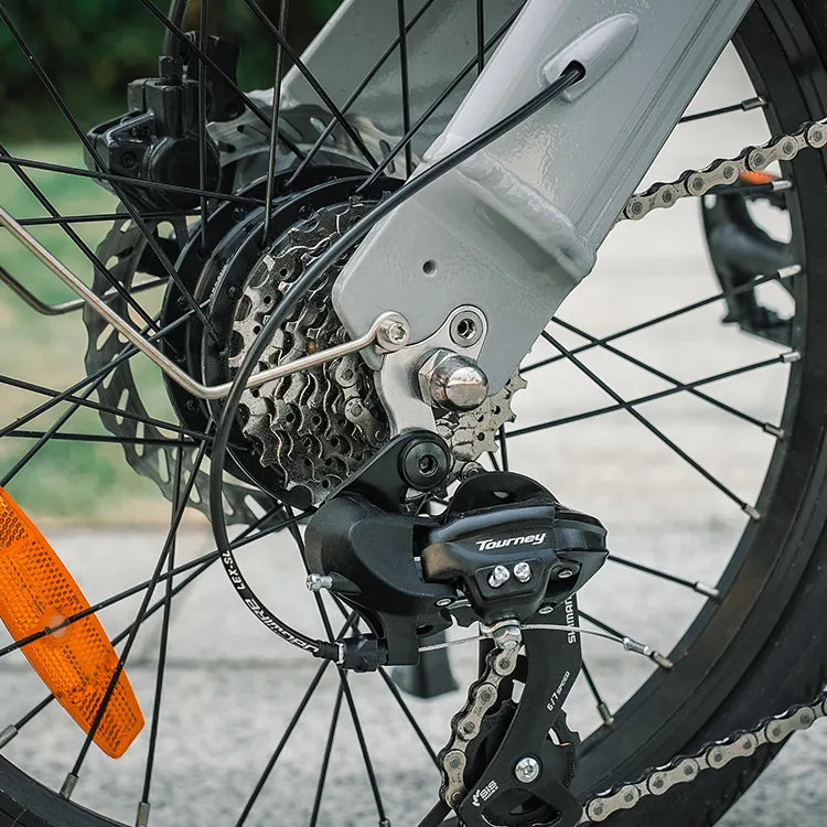 Fiido D11 250W Folding E-bike Removable Battery image 11