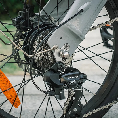 Fiido D11 250W Folding E-bike Removable Battery image 11