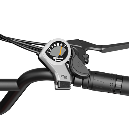 Jasion Retrovolt Retro Electric Bike image 5