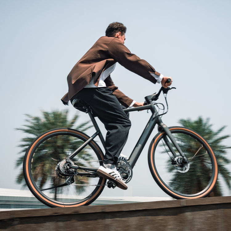 Fiido E-Gravel C21-Step Over Electric Bike image 12