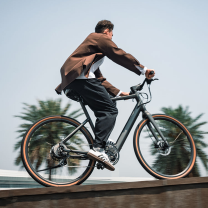 Fiido E-Gravel C21-Step Over Electric Bike image 12