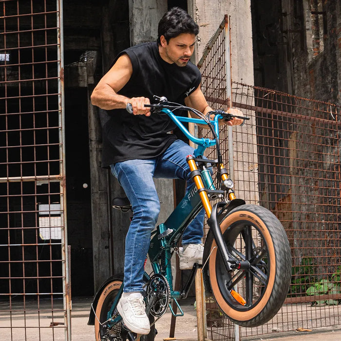 Fiido M1 Pro Electric Bike Upgraded Version image 6