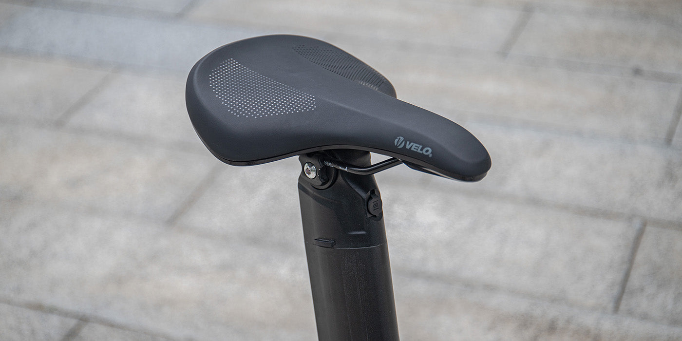 Fiido X Folding Electric Bike image 4