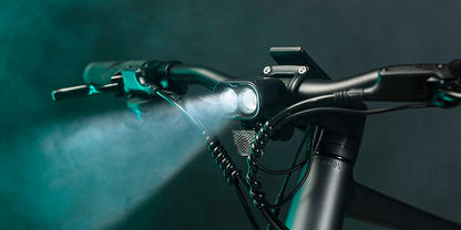 Fiido E-Gravel C21-Step Over Electric Bike image 8