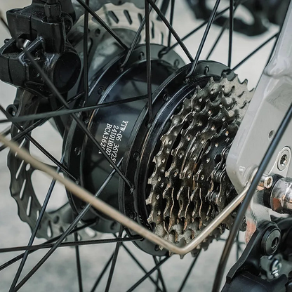 Fiido D11 250W Folding E-bike Removable Battery image 14