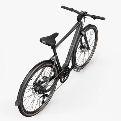 Fiido E-Gravel C21-Step Over Electric Bike image 1