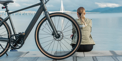 Fiido E-Gravel C21-Step Over Electric Bike image 10