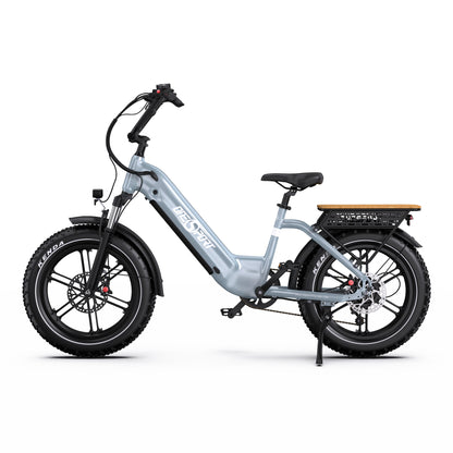 Onesport OT08 Fat Tire E-Bike