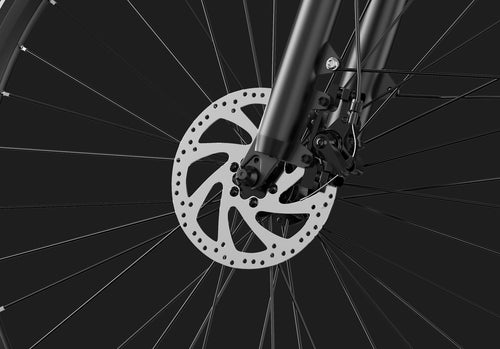 DUOTTS C29 Lite Electric Bike