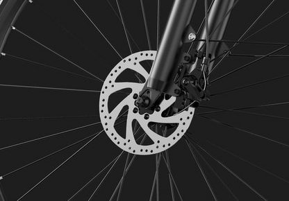 DUOTTS C29 Lite Electric Bike