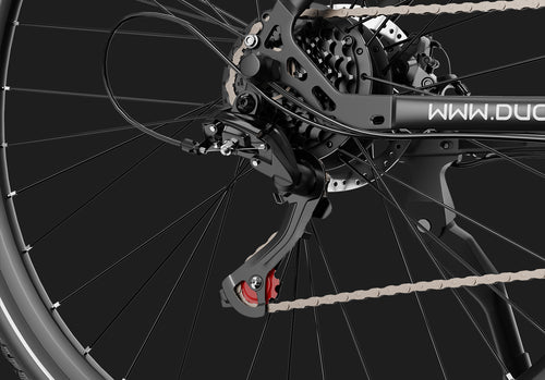 DUOTTS C29 Lite Electric Bike