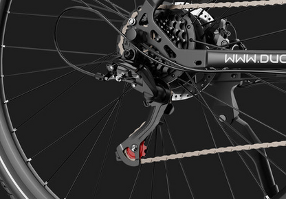 DUOTTS C29 Lite Electric Bike