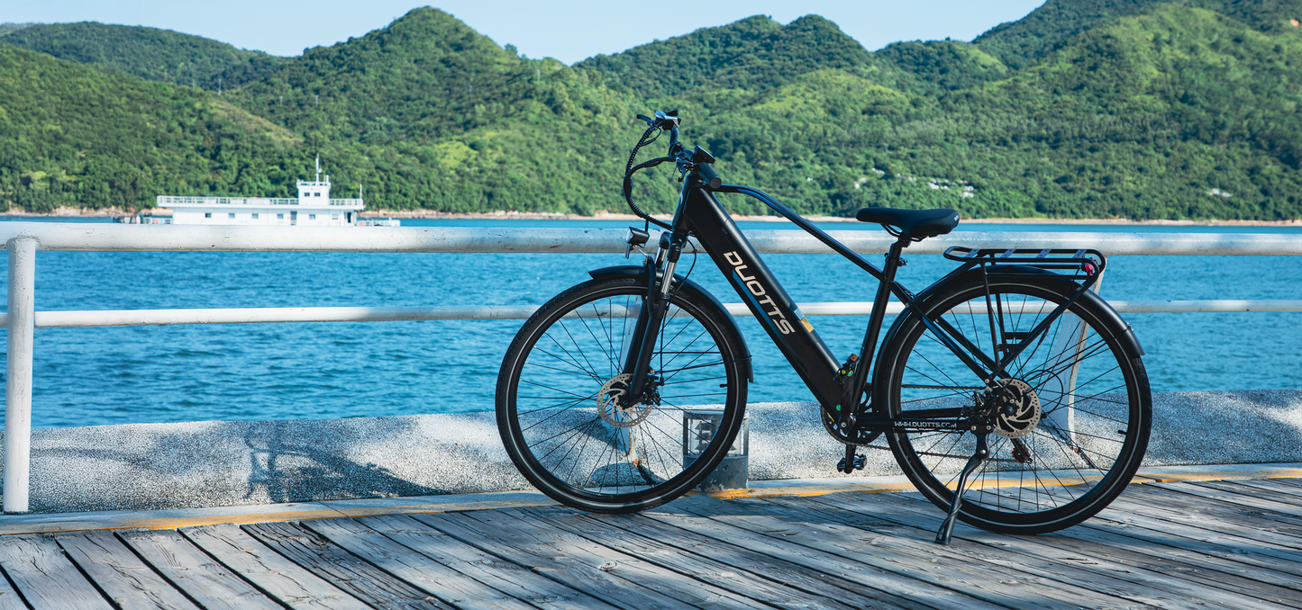 DUOTTS C29 Lite Electric Bike