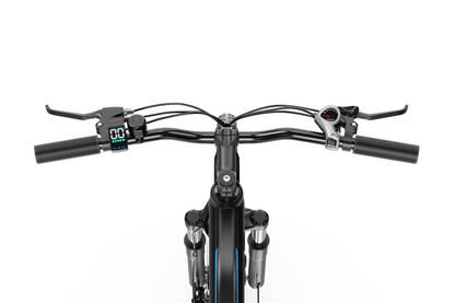 DUOTTS C29 Lite Electric Bike