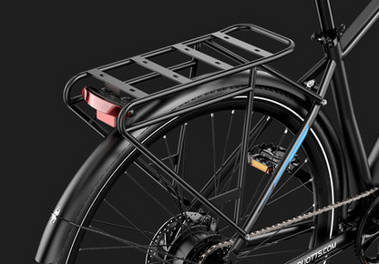 DUOTTS C29 Lite Electric Bike