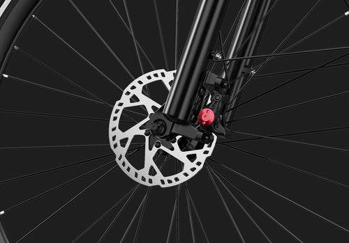 DUOTTS C29 Max Electric Bike