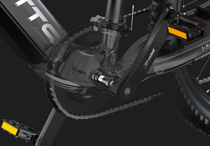 DUOTTS E29 Electric Bike